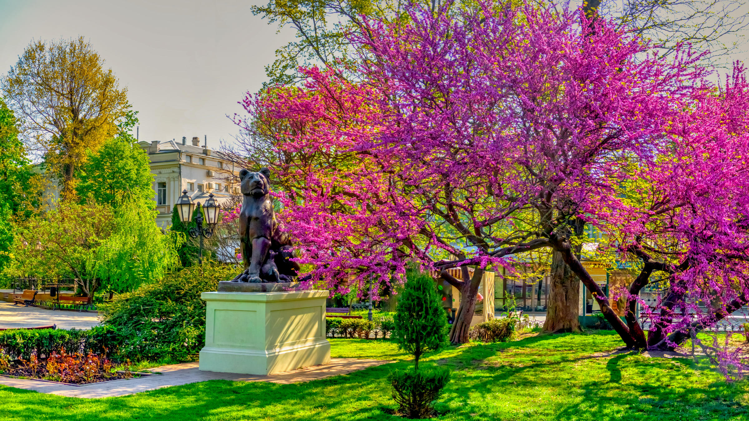 Міський сад.