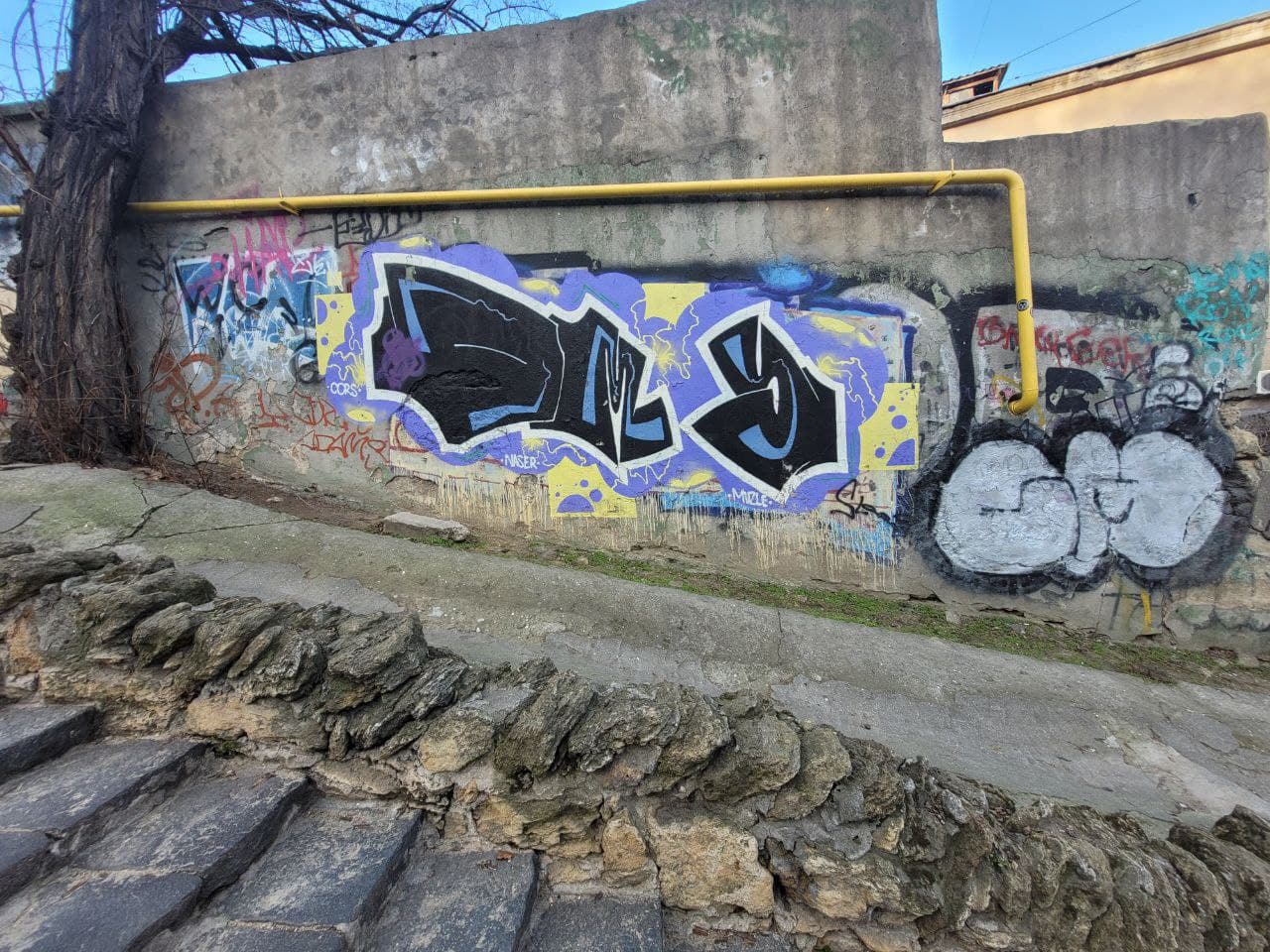 Стены и забор по бокам лестницы щедро расписаны "народным творчеством".