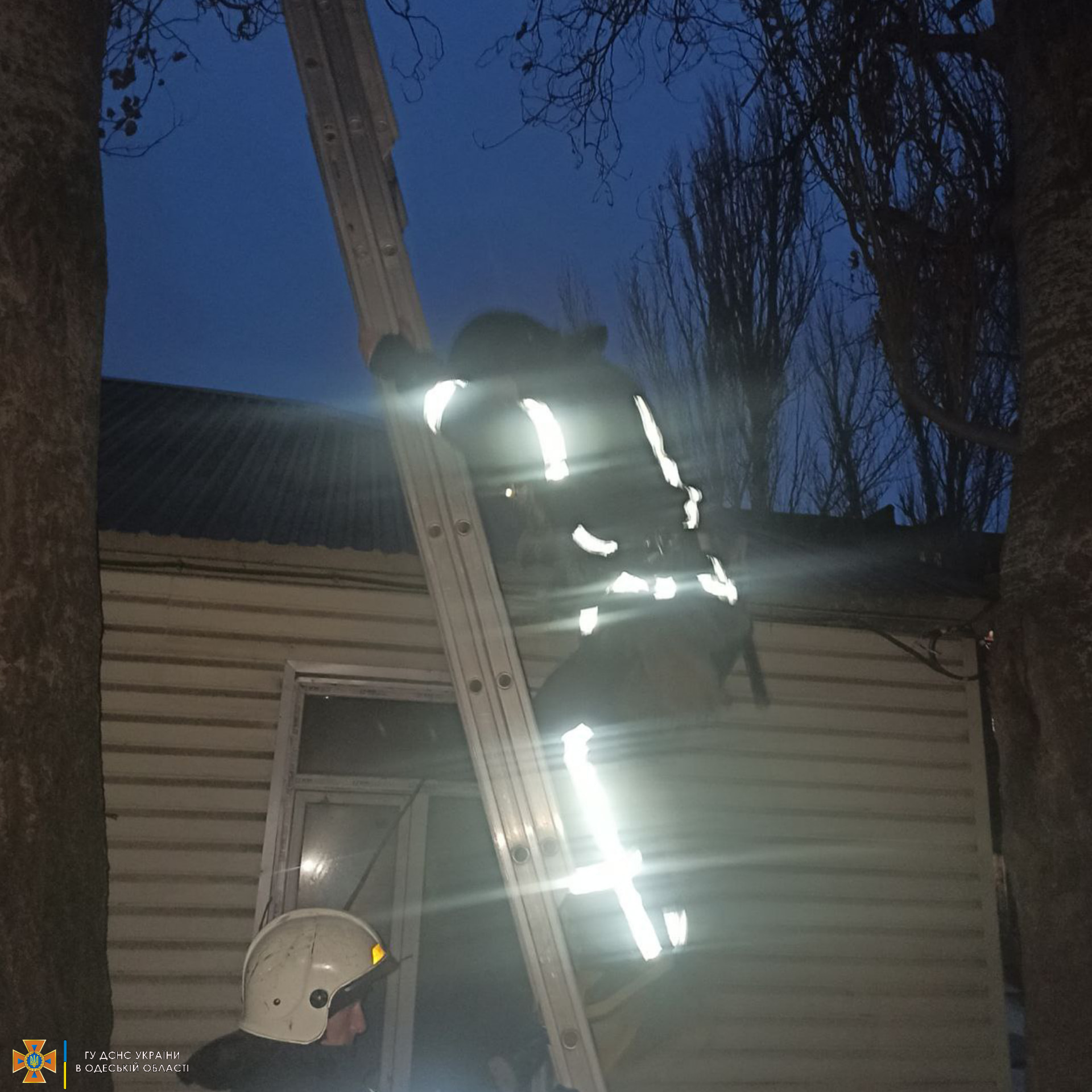 11 января одесские спасатели дважды помогли оказавшимся в беде котам.