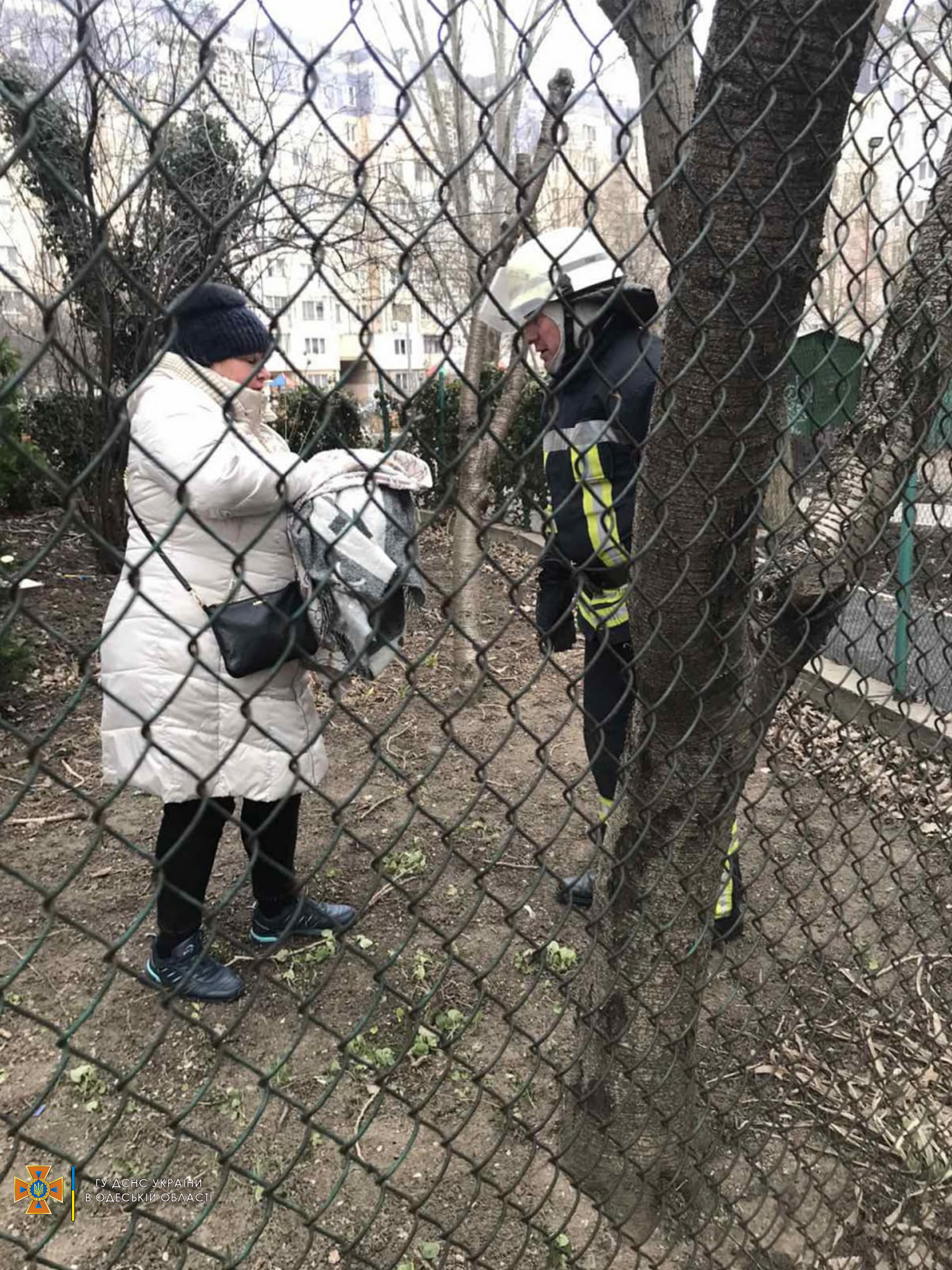 11 января одесские спасатели дважды помогли оказавшимся в беде котам.