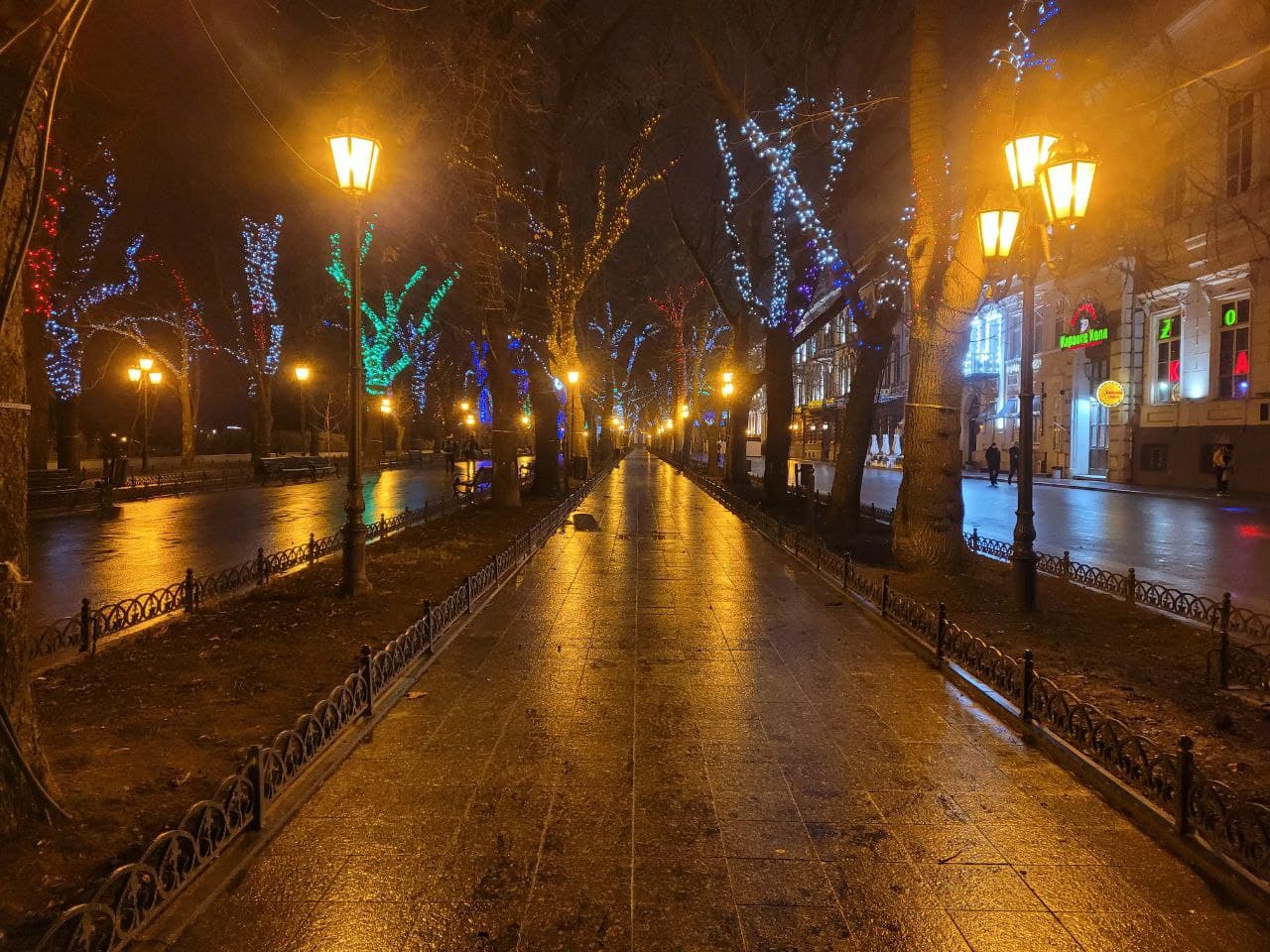 Украшенные гирляндами деревья на Приморском бульваре.