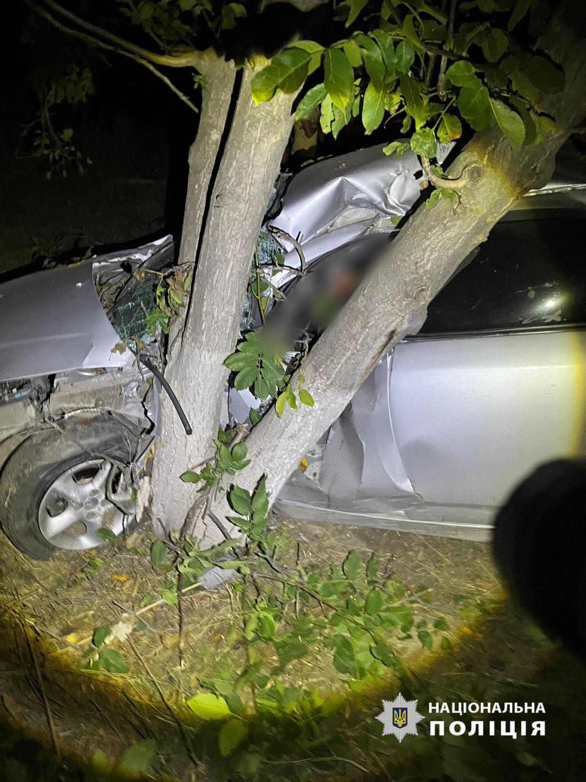 Автомобиль, который врезался в дерево.