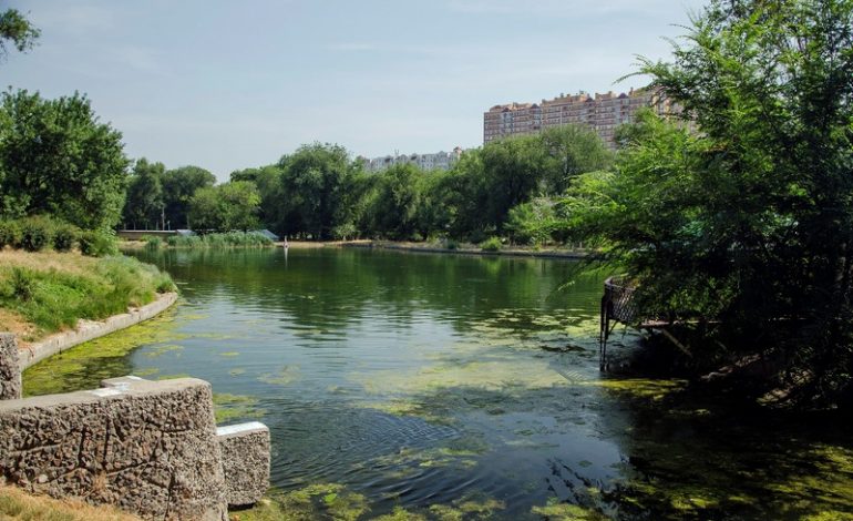 Дюковский парк.