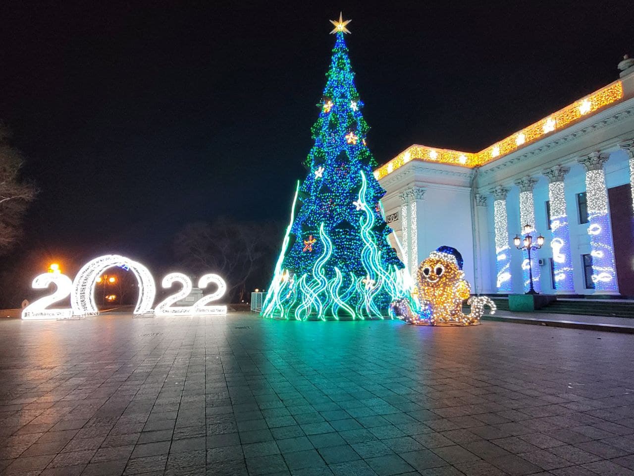 Елка на Думской площади.