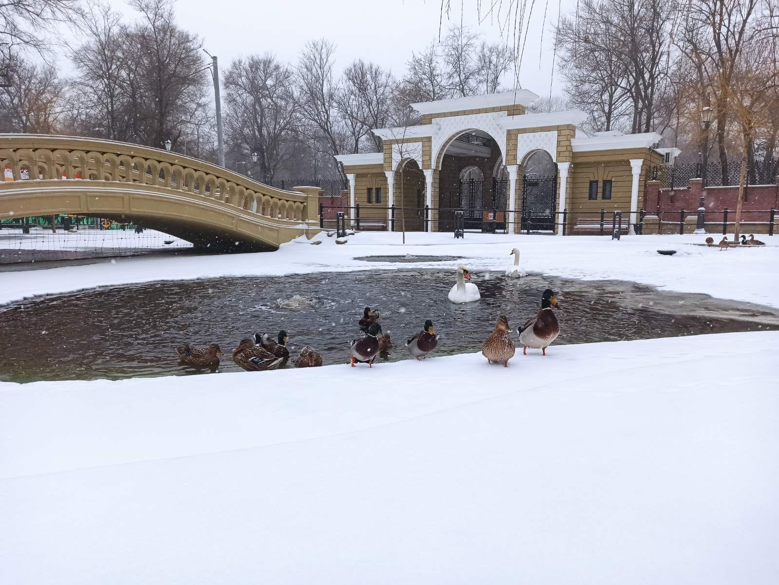 Заснеженный Одесский зоопарк и его обитатели.