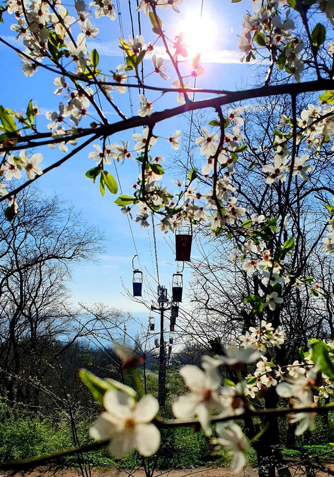 Одесская канатная дорога.