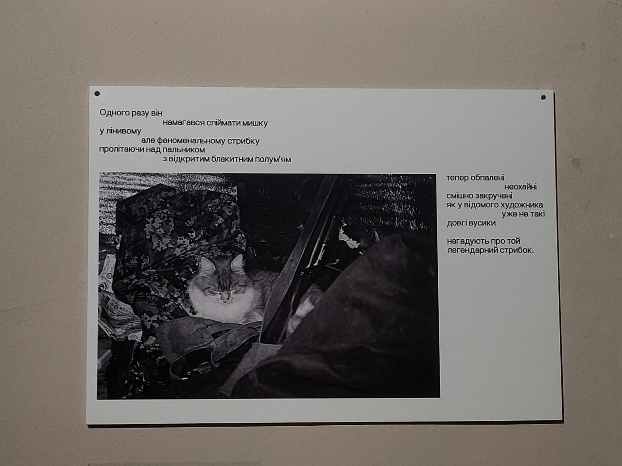 Снимок с выставки Максима Кривцова.