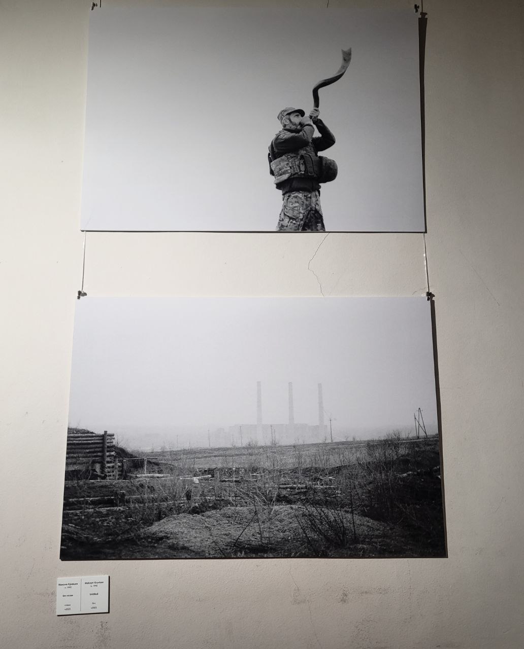 Снимки с выставки Максима Кривцова.