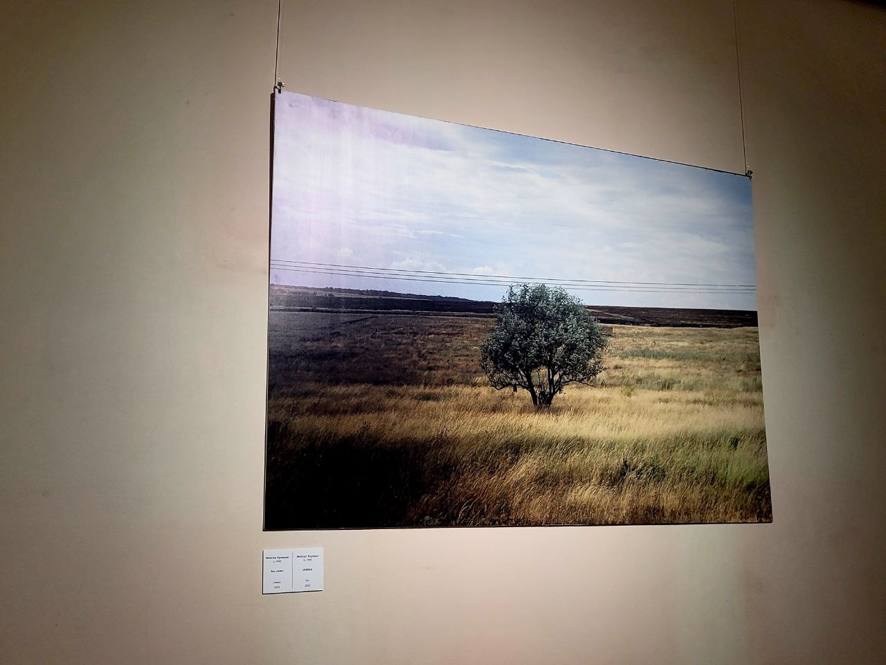 Снимок с выставки Максима Кривцова.