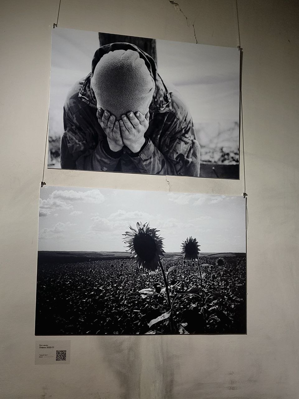 Снимок с выставки Максима Кривцова.
