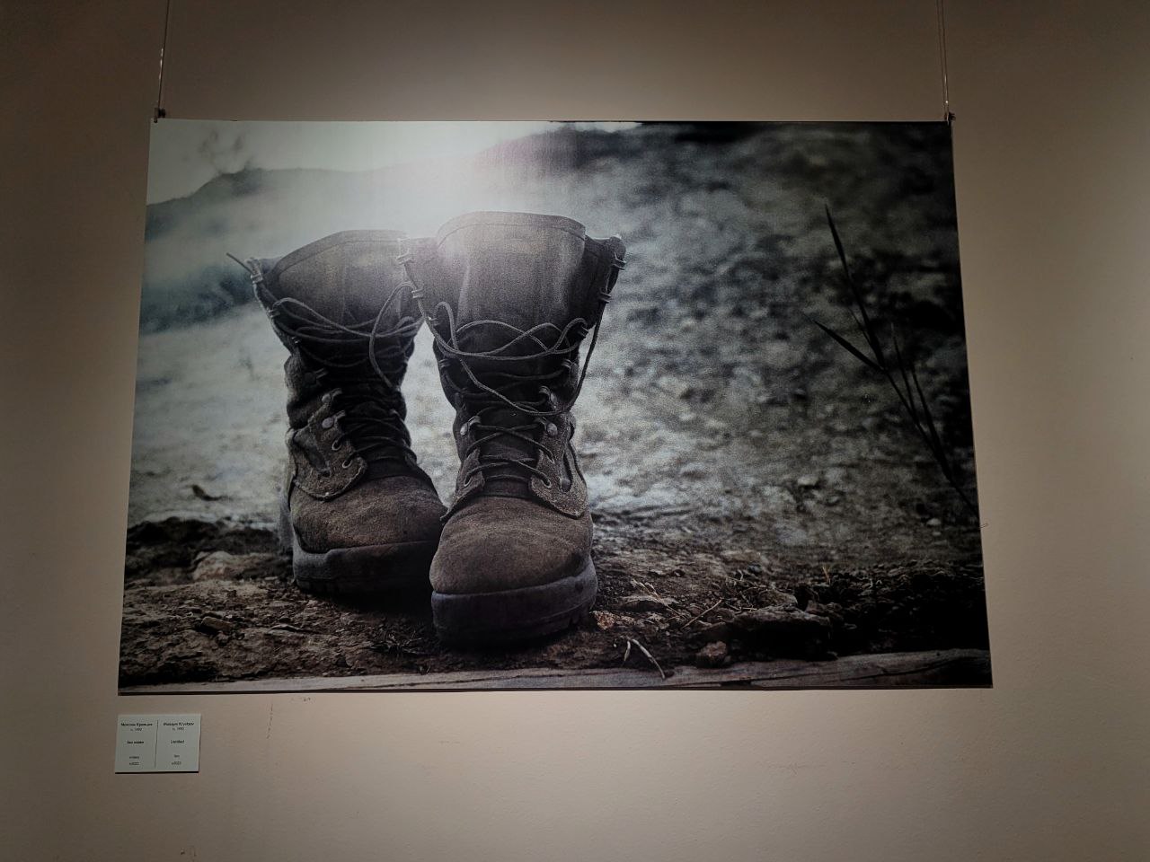 Снимок с выставки Максима Кривцова.
