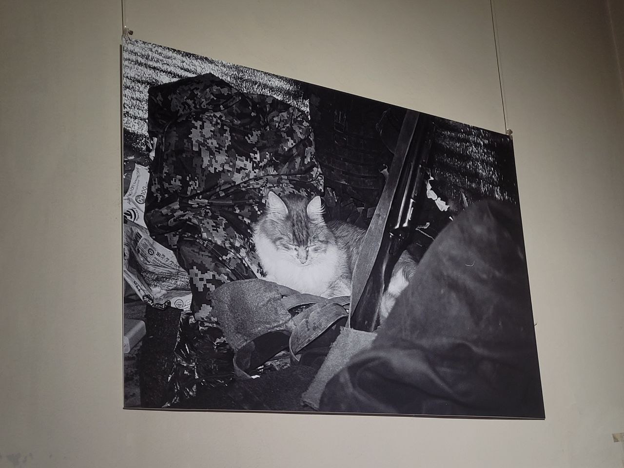 Снимок с выставки Максима Кривцова.