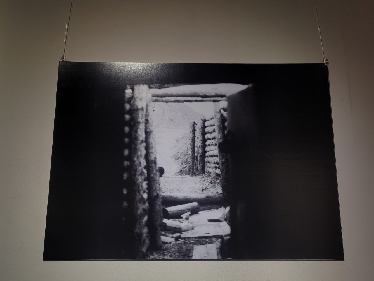 Снимок с выставки Максима Кривцова.