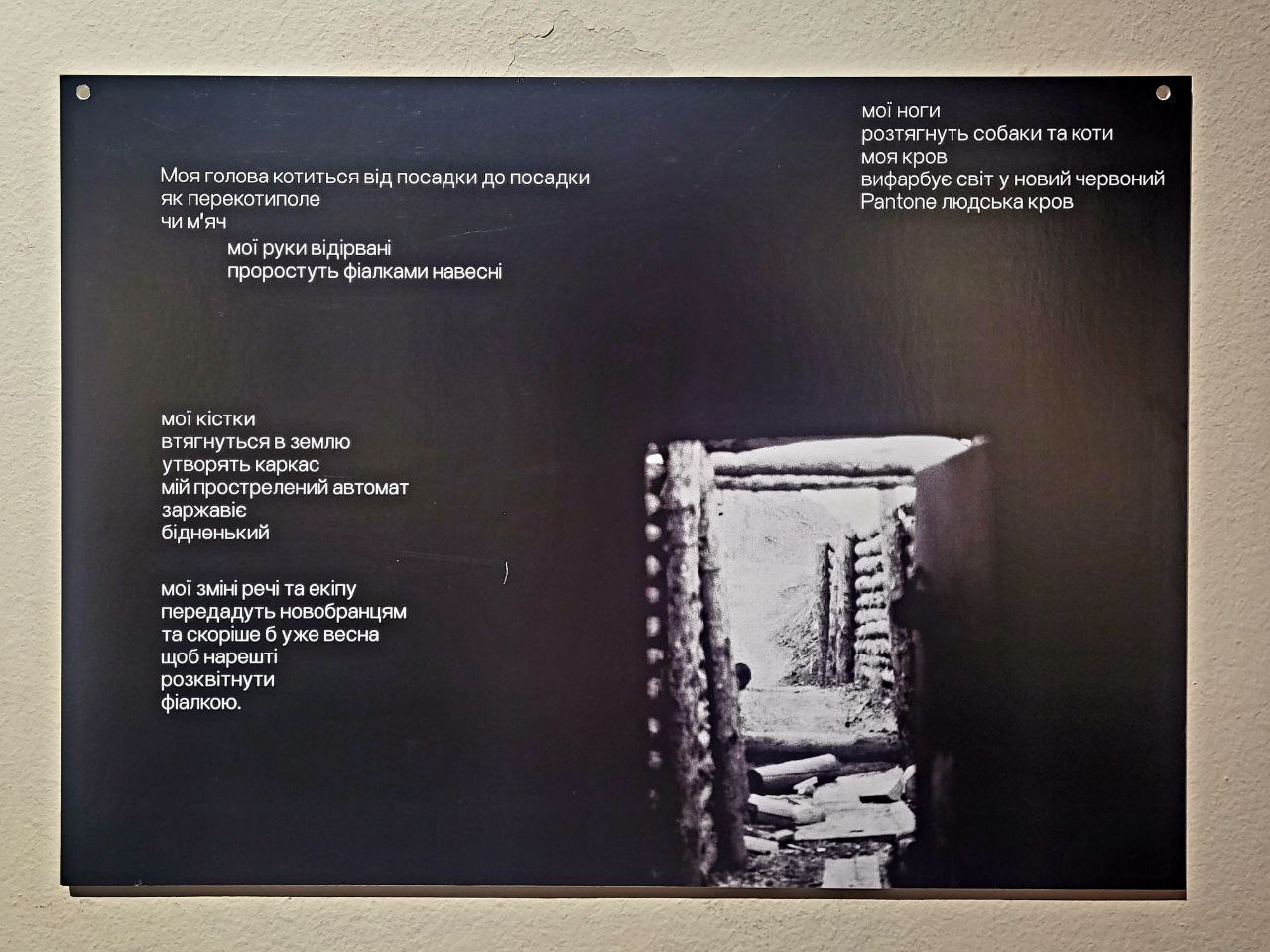 Снимок с выставки Максима Кривцова.