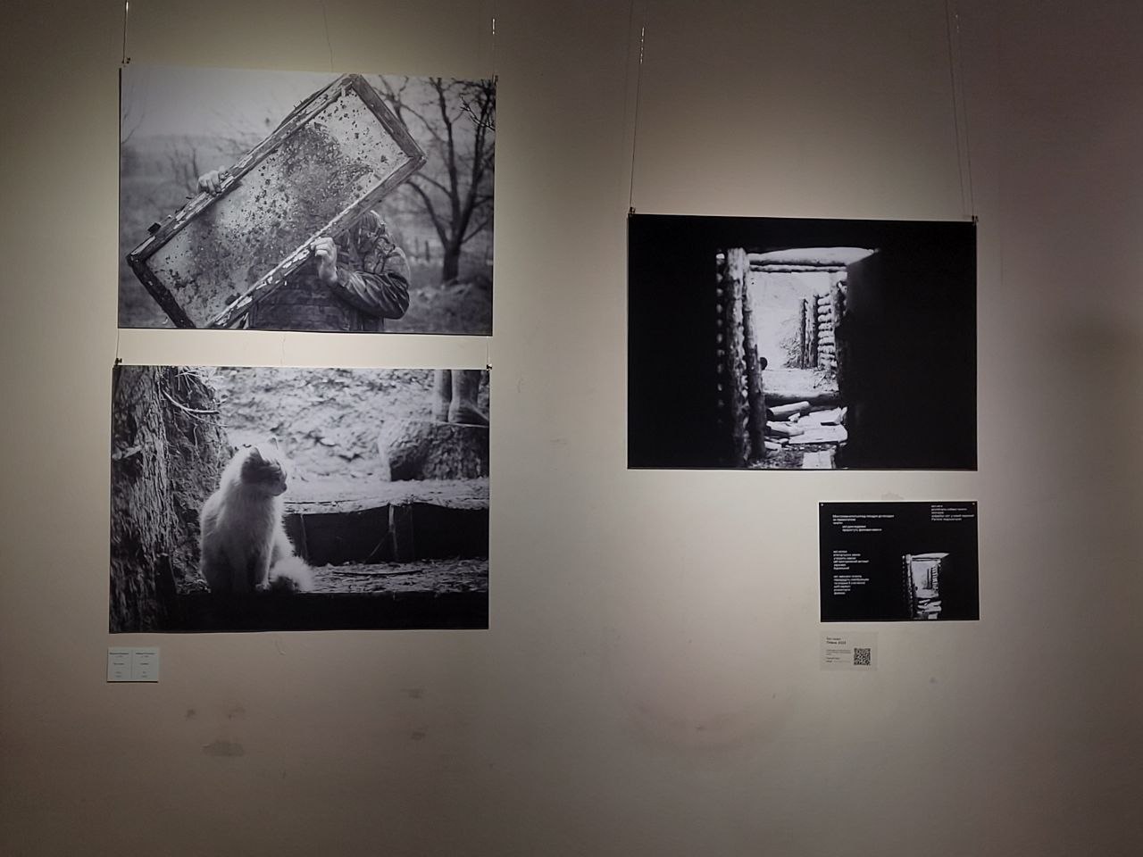 Снимок с выставки Максима Кривцова.