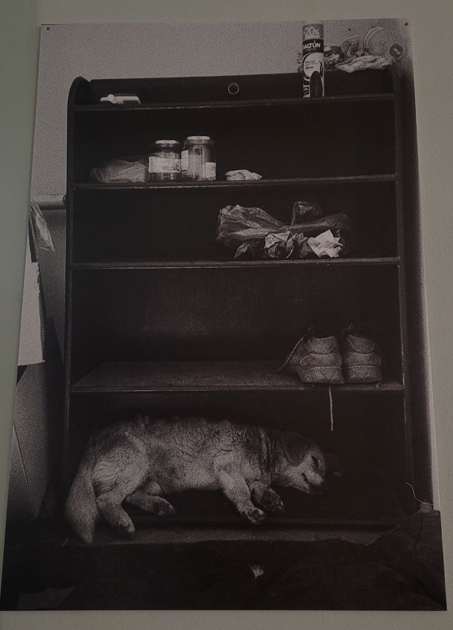 Снимок с выставки Максима Кривцова.