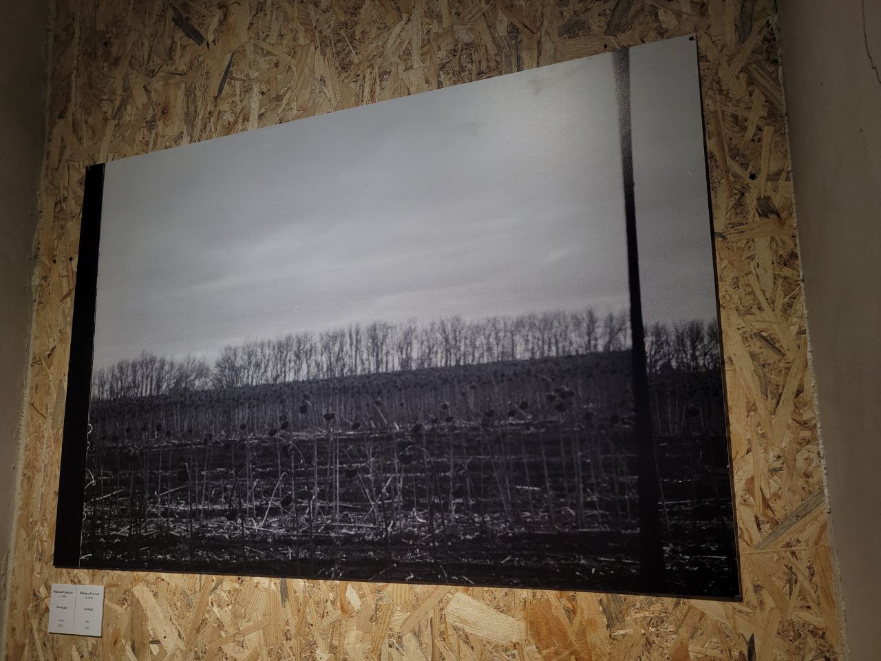 Снимок с выставки Максима Кривцова.