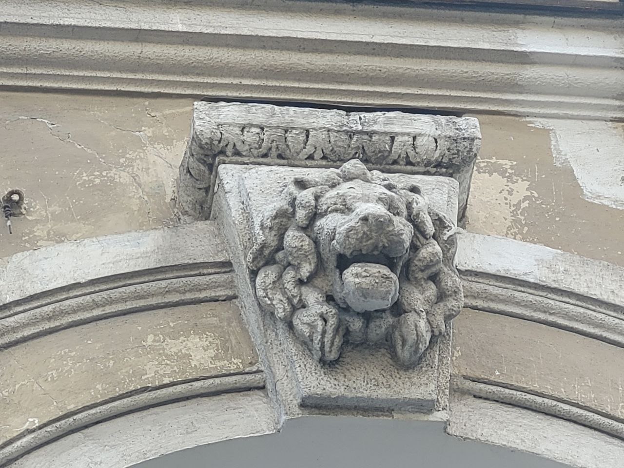 Лев вулиці Європейська, 7.