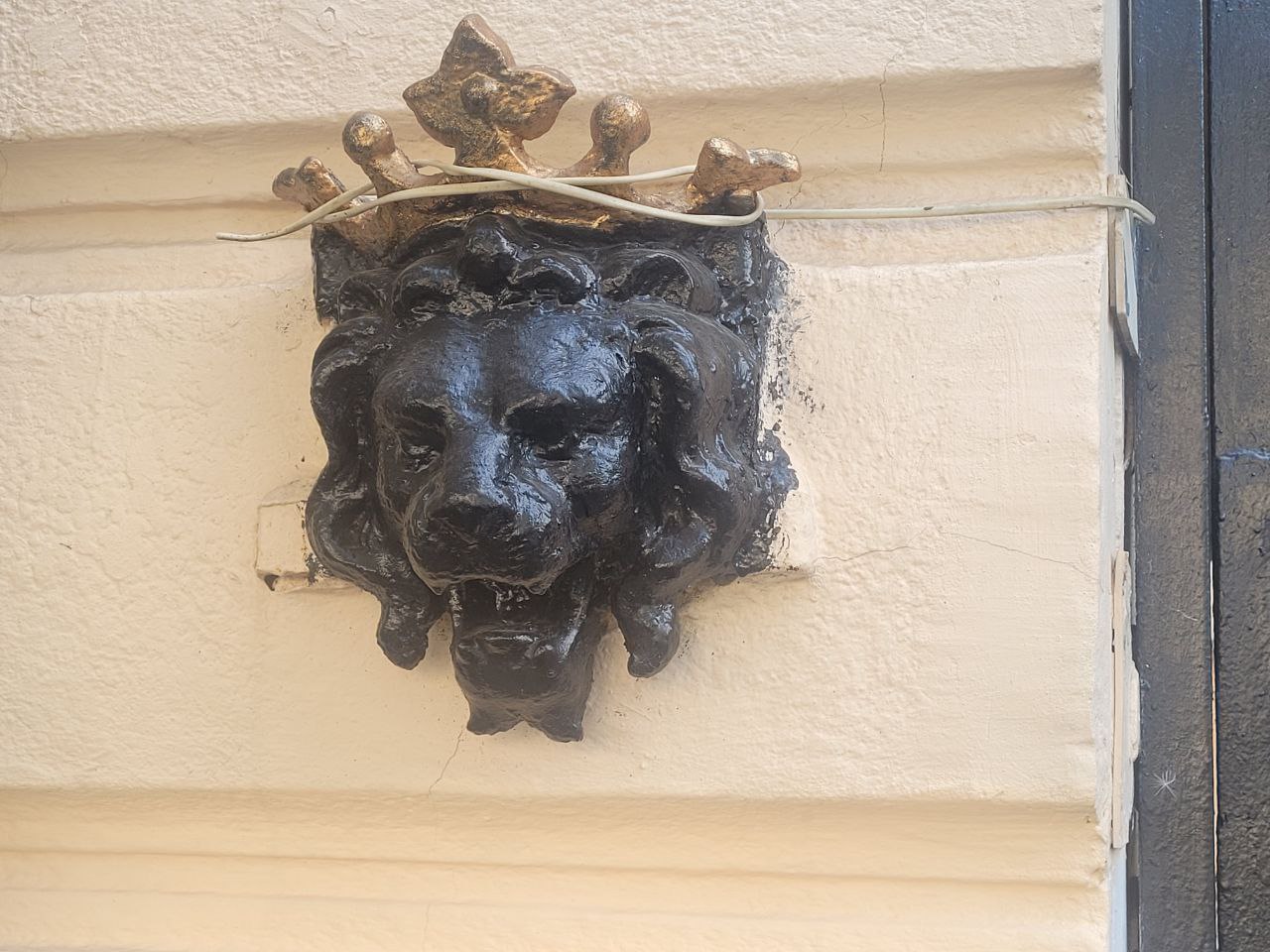 Лев на вулиці Гаванна, 11.