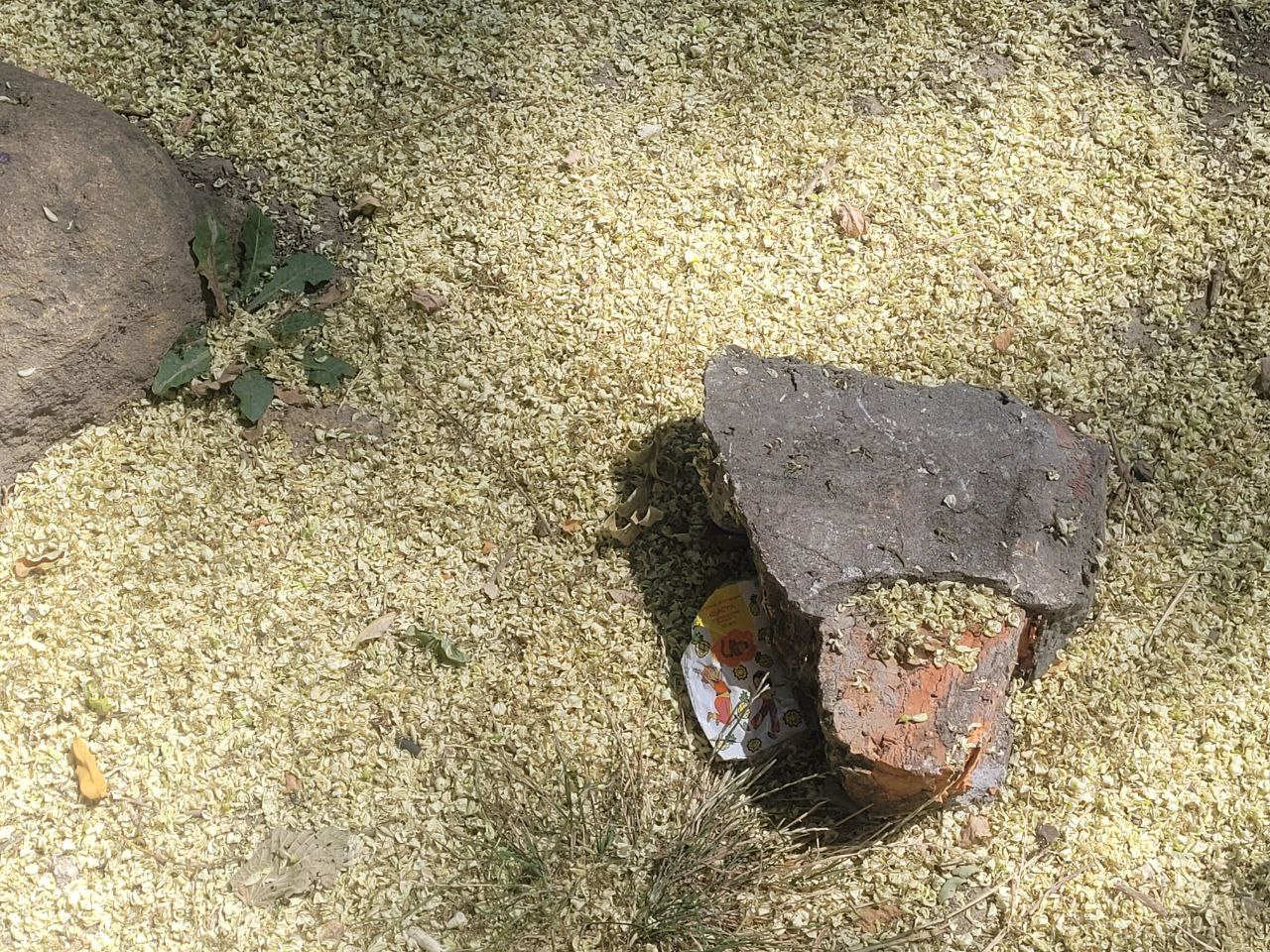 Мусор в сквере возле Лестницы мертвых.