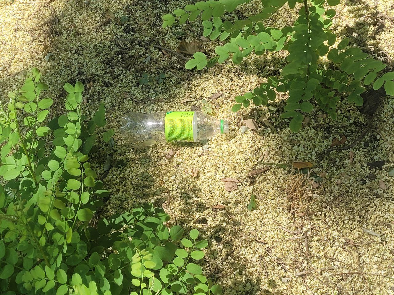 Мусор в сквере возле Лестницы мертвых.