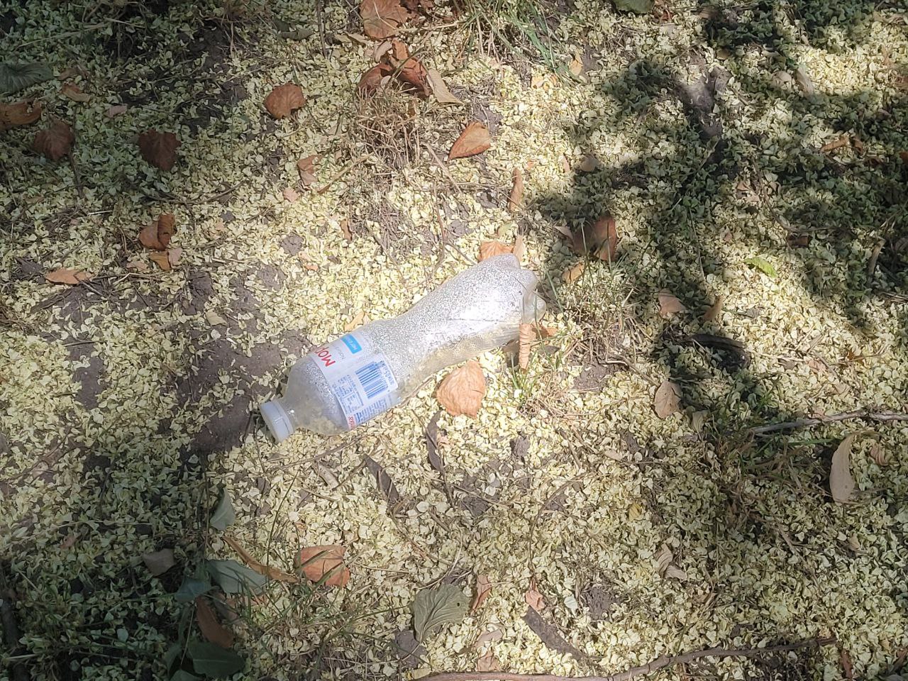 Мусор в сквере возле Лестницы мертвых.