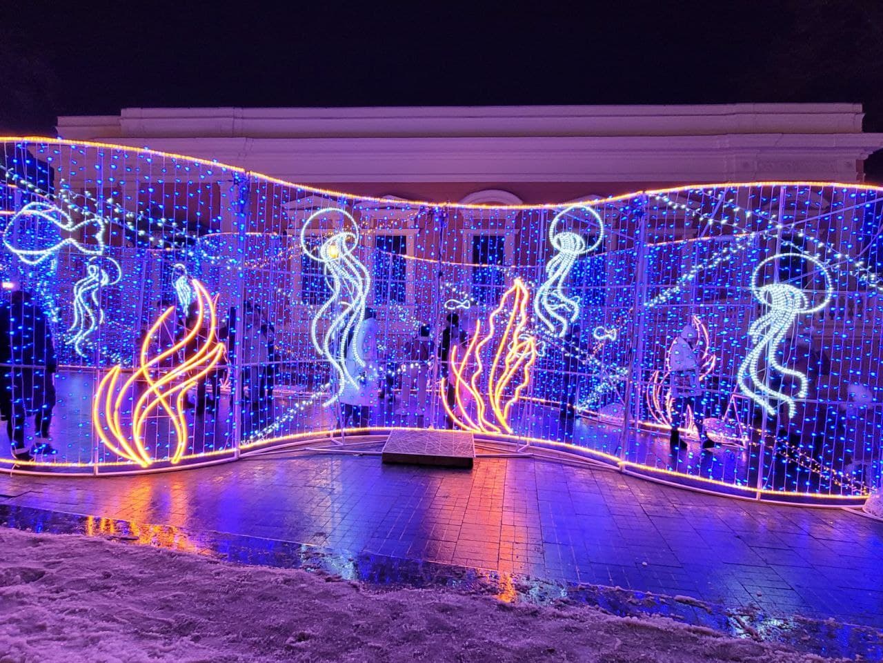 Тоннель с медузами.