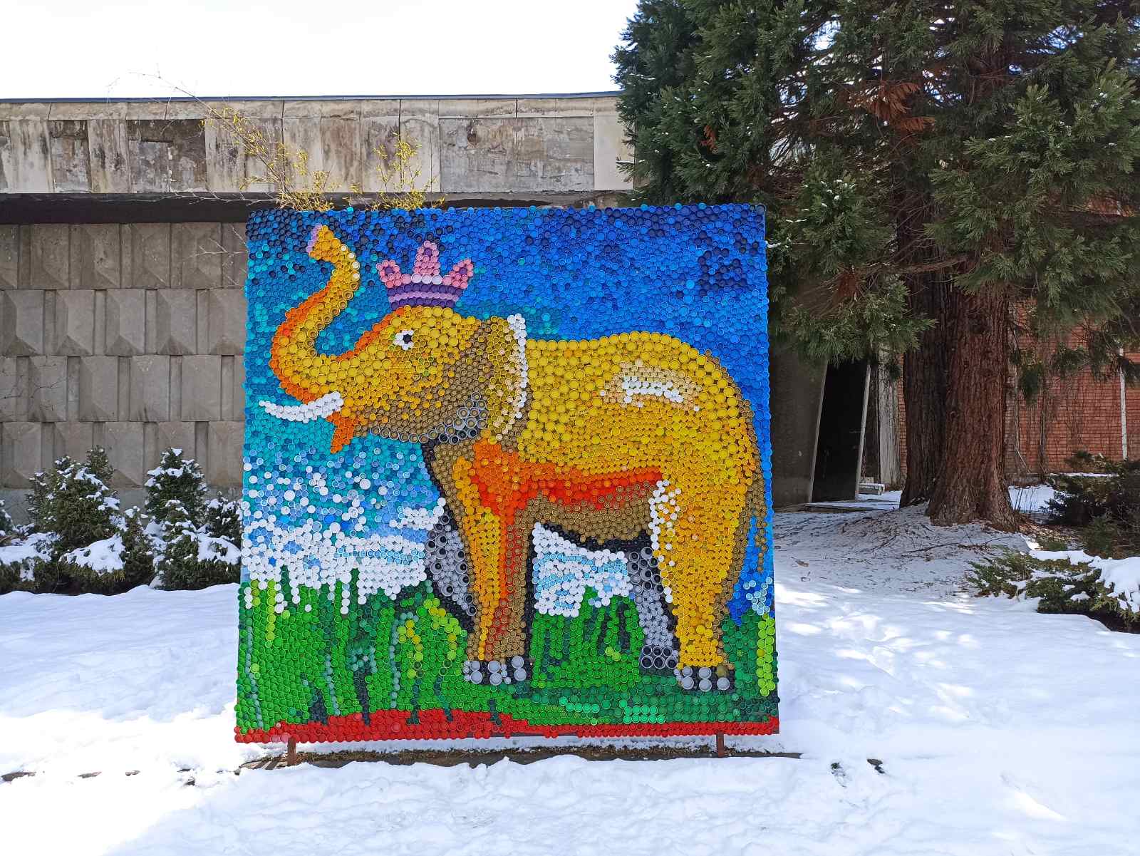 В зоопарке соберут мозаику из пластиковых крышечек.