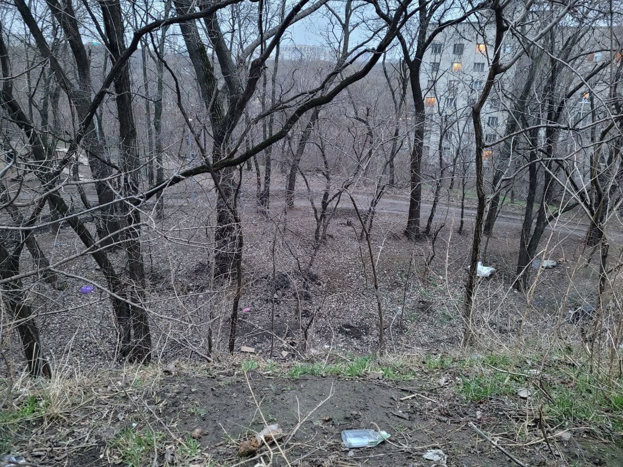 Мусор в Курсантском парке.