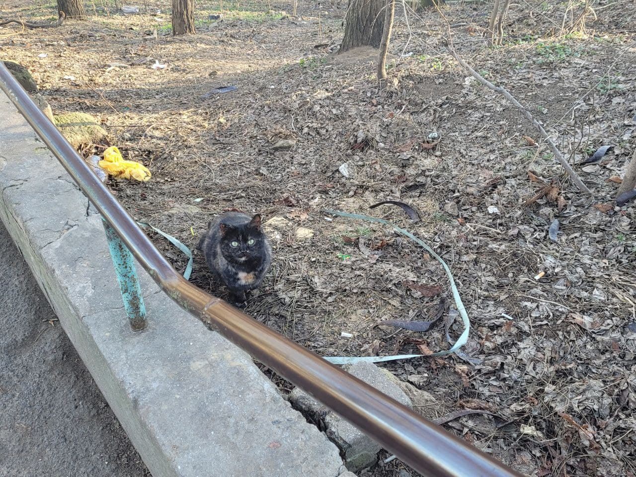 Склоны по бокам лестницы