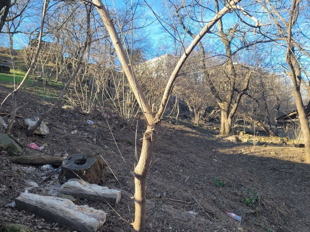 Склоны по бокам лестницы