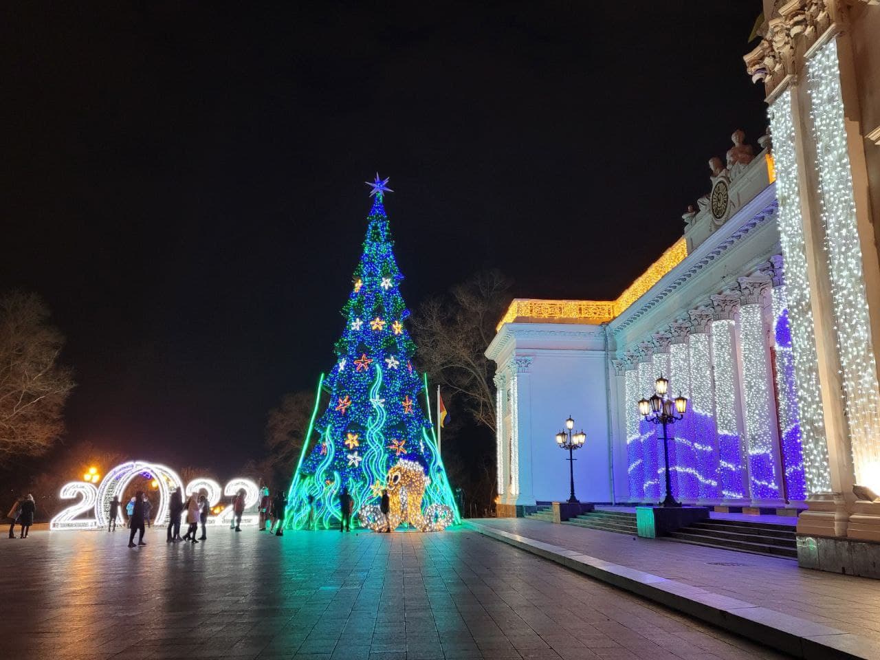 Елка на Думской площади.