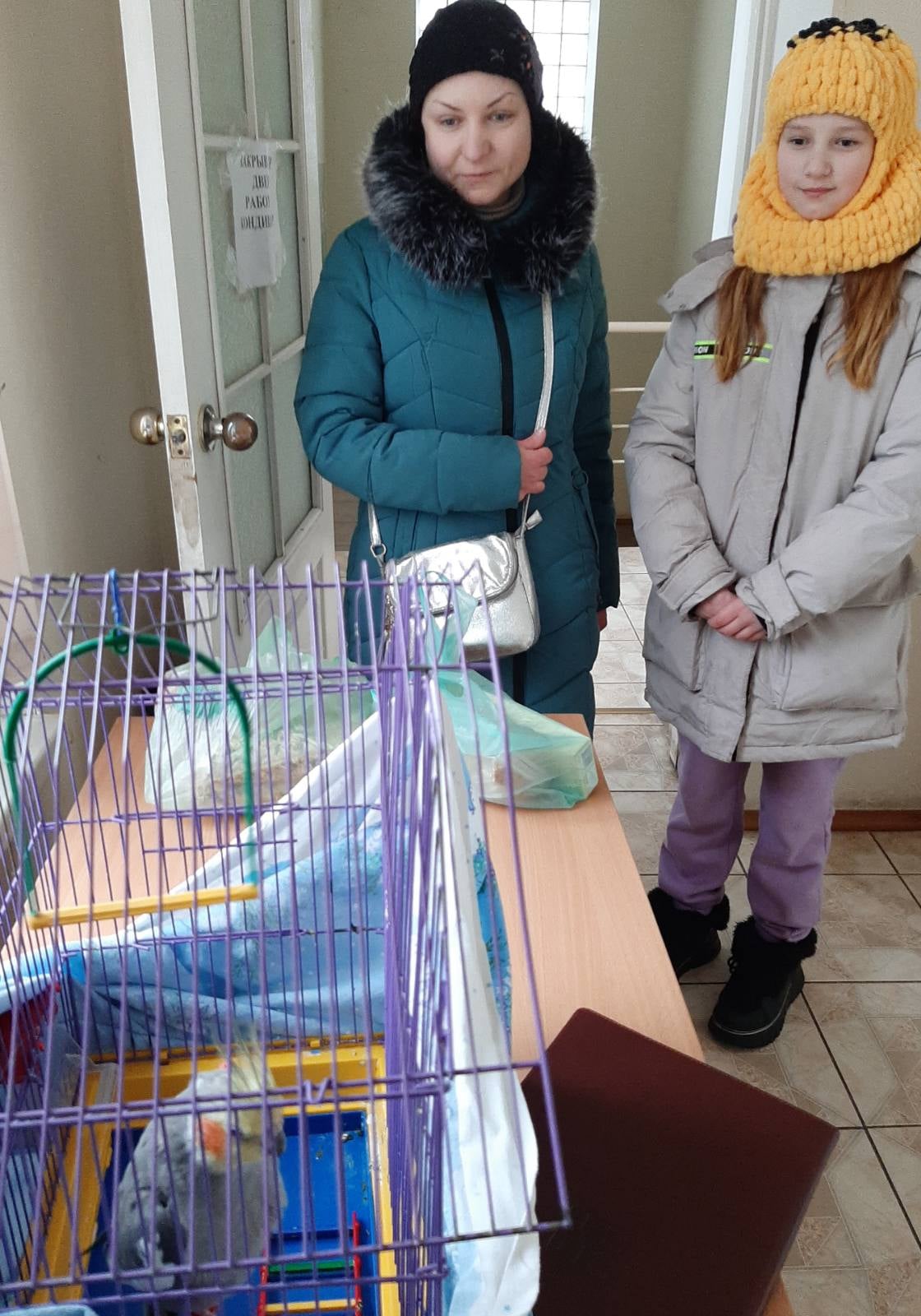 В Одесском зоопарке готовы принять домашних животных.