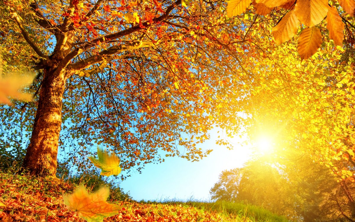 В Одессе состоится концерт "Теплая музыка прохладной осени".