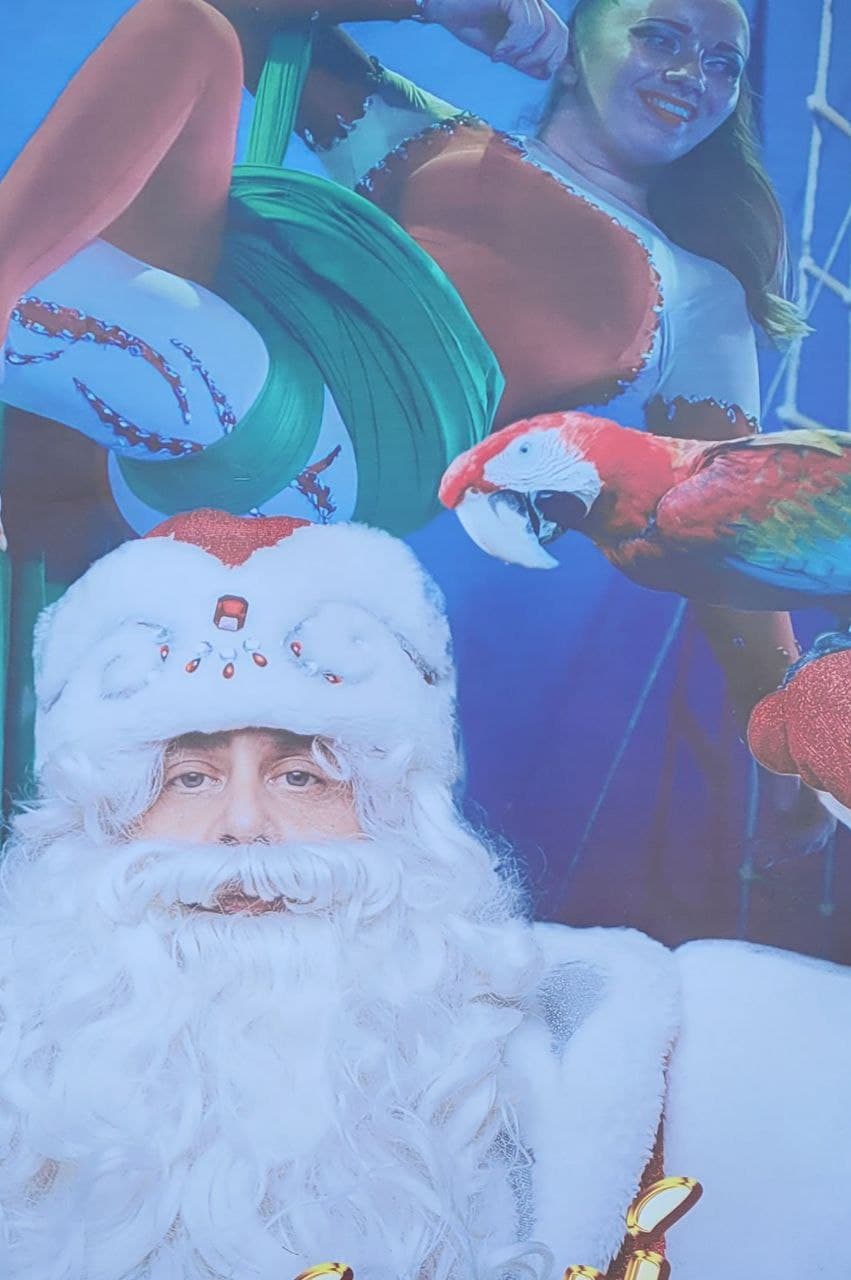 Шоу "Новогодние приключения". Фото (снимок афиши): Марии Чекаревой