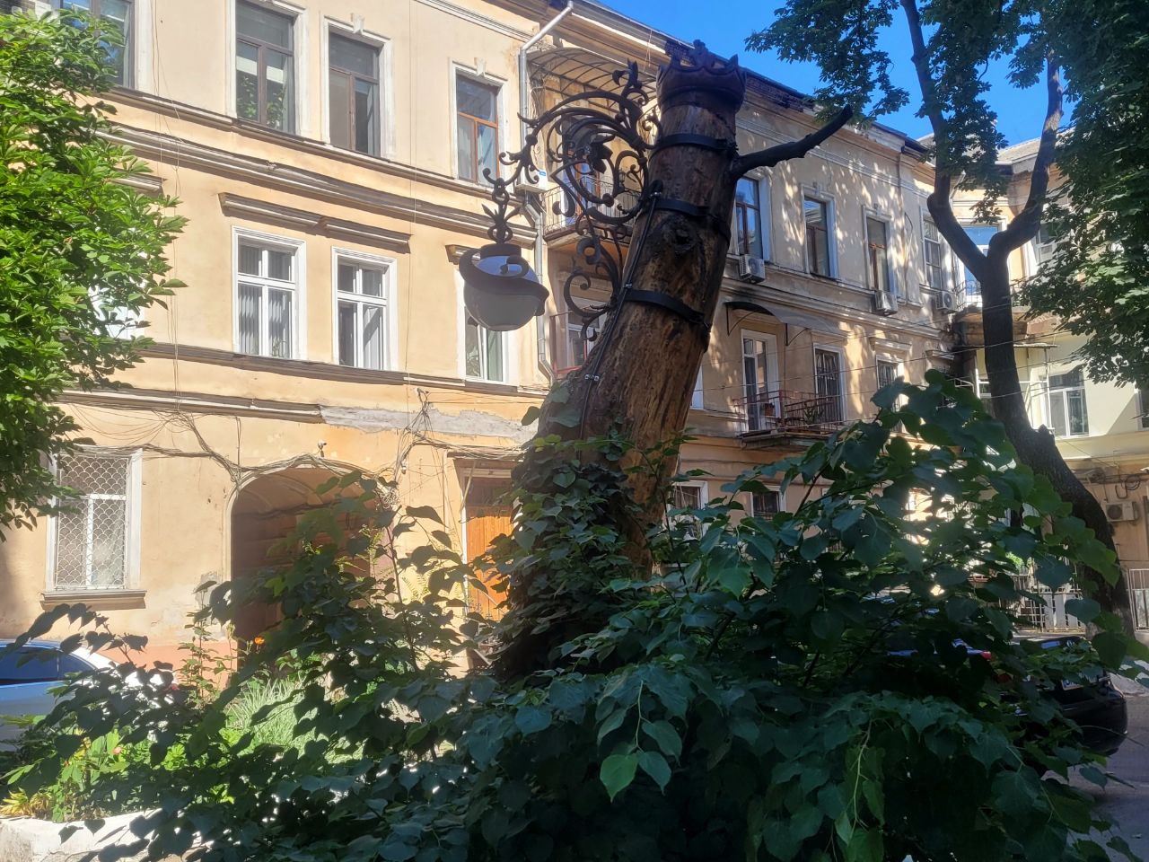 Дворик на улице Пастера, 19.