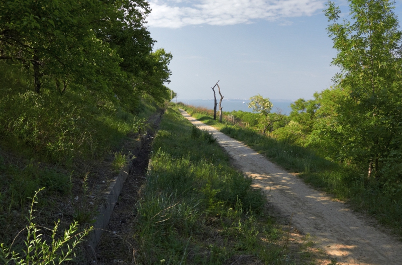 На верхней аллее склонов возле санатория Чкалова состоится большое мероприятие по уборке.