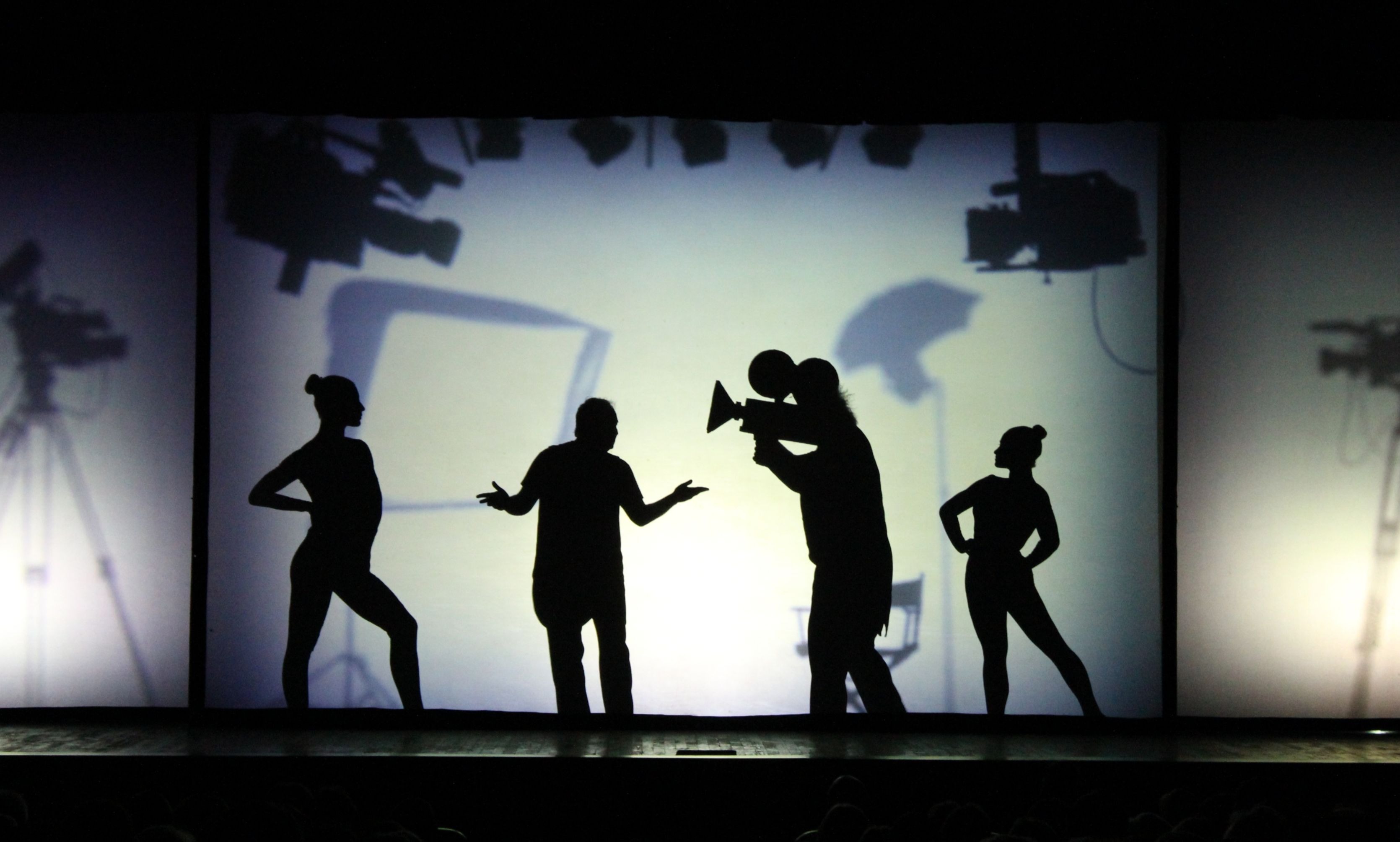 Шоу "Твоя тінь".