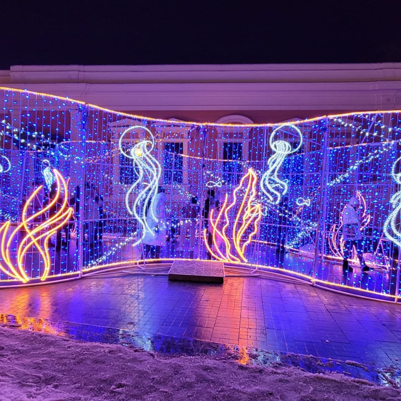 Тоннель с медузами и водорослями.