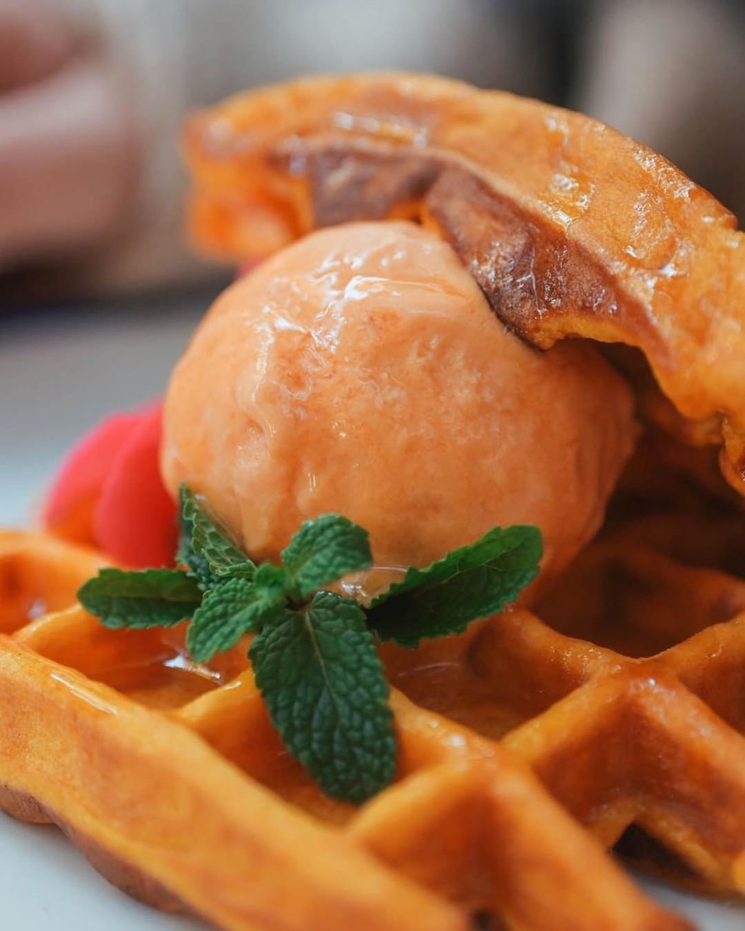 Тыквенное мороженое и вафли с добавлением тыквенного пюре в баре мидий Kotelok.