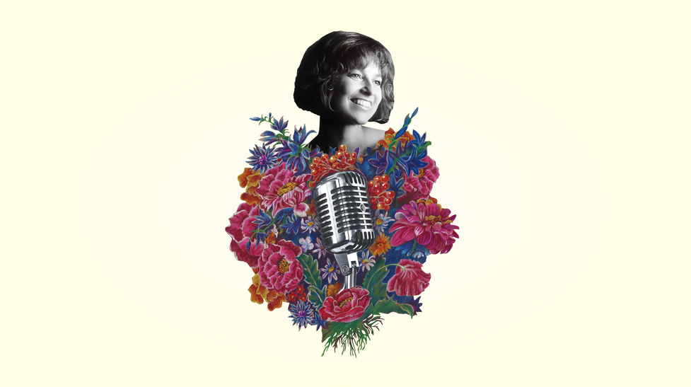 Квитка Цісик.