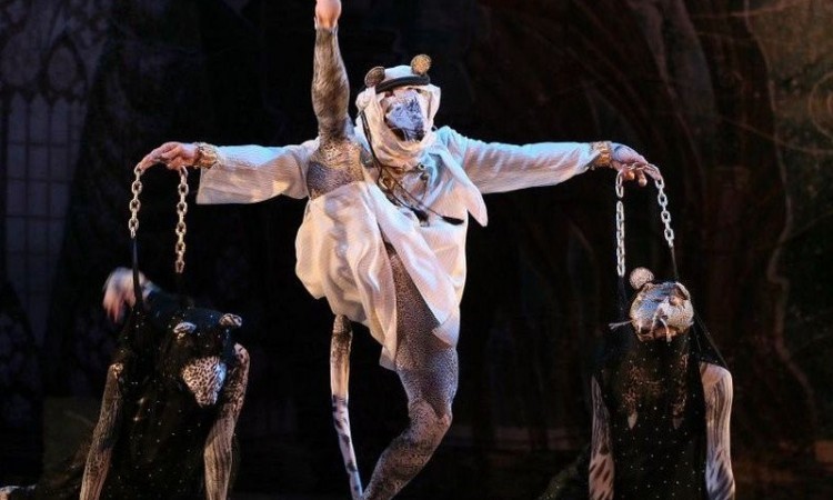 "Щелкунчик. Kyiv Modern Ballet".