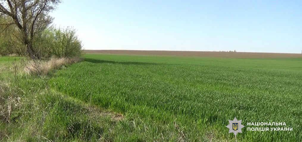 Земельный участок, который присвоил житель Одесской области.