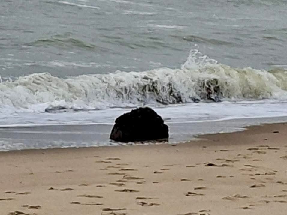 На узбережжі Одещини прогримів вибух: яка причина