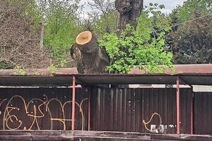 Установили забор и пилят деревья: что строят в Одессе на Марсельской  фото 2