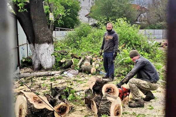 Установили забор и пилят деревья: что строят в Одессе на Марсельской  фото 5