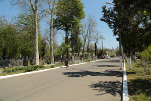 Радоница в Одессе: как работали кладбища, несмотря на карантин  фото 29