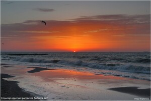 Утро на одесском пляже: cмотри, как прекрасны рассветные волны фото 7