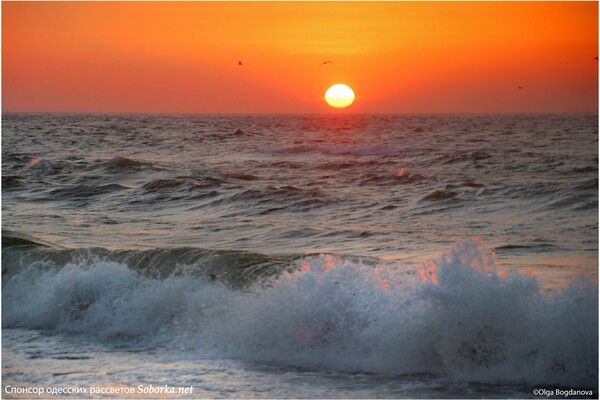 Утро на одесском пляже: cмотри, как прекрасны рассветные волны фото 10