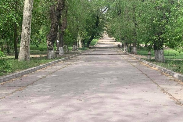 Дюковский парк в Одессе станет приятней: коммунальщики приступили к уборке  фото 2
